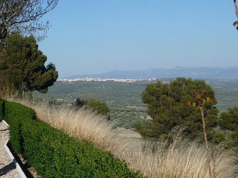 Walls Walk and Machado Viewpoint
