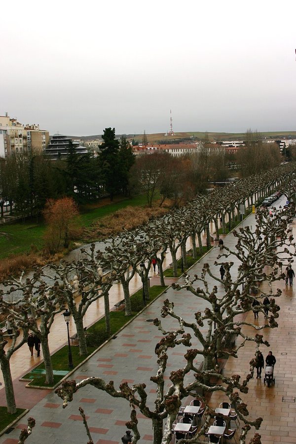 Paseo del Espolón