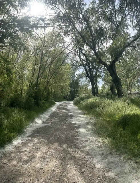 Parque de la Mitjana