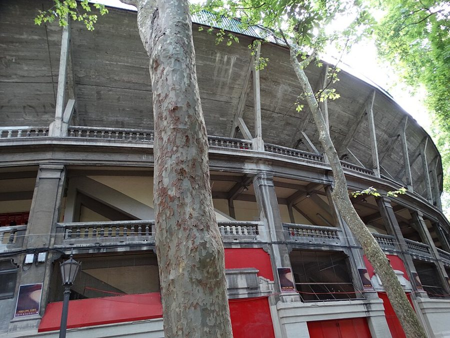 Plaza de Toros y final del encierro
